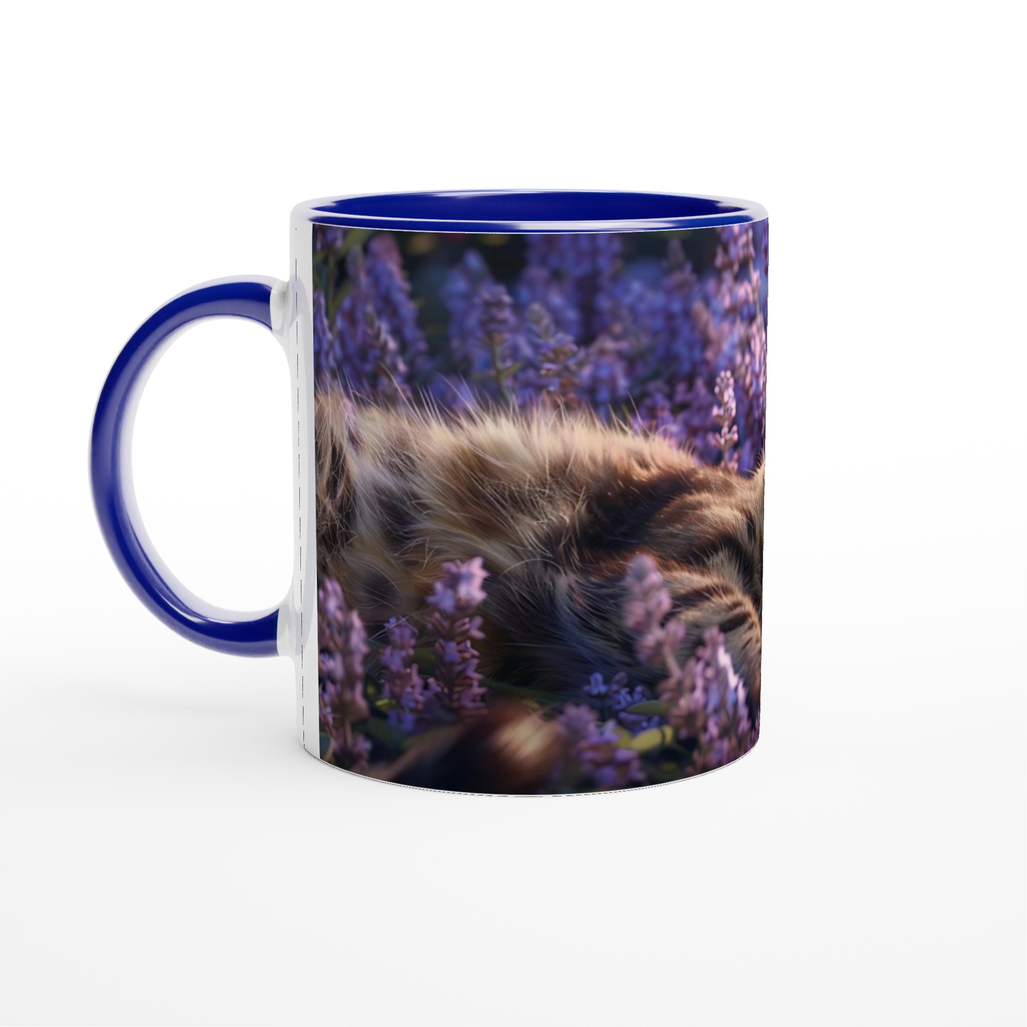 9d842326-e6a6-4aed-8980-671b6e0bc3e7