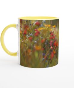 9ef7889e-edc0-4718-a9da-ee626e2b9922