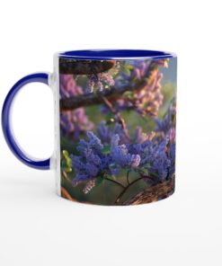 a285e94f-a8bc-46f0-a68a-ab0dd21ab106