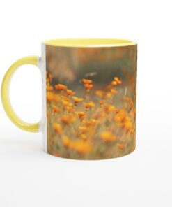 aeca450e-58cb-4ebe-9a56-2e28894d2c63