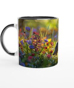 b001d85e-9577-4738-8339-3b291066b137