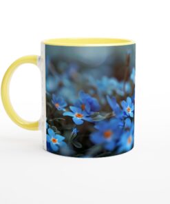 b032dd64-9031-4077-bca6-8f3167349faf