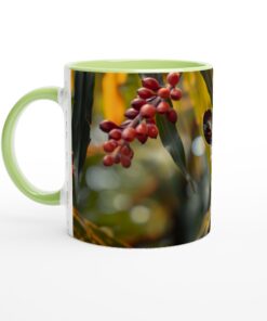 b0b144cc-b90d-4533-bdc3-869a4484fa06