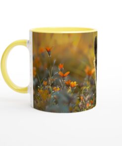 b38f4daa-64c9-45f5-851f-9707c5d15d00