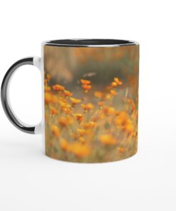 ba22bf45-ec3c-4498-aacb-e6f5b12743ac