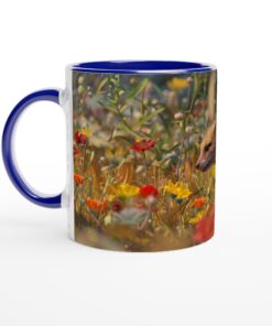 c0794acf-dc2b-4865-b7a2-18569292c140