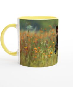 c4ac229e-1109-4b76-83a2-7abb8cd2c5ed