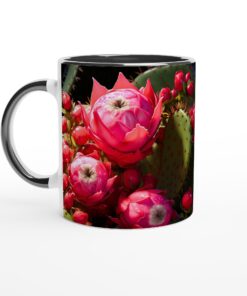 cf4a8889-7a3c-4335-90d1-9ec2ce848b5c