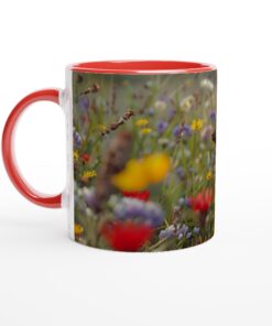 cfffd0ba-9279-42ce-8a7d-c4de03642b26