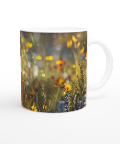 d10e4f6b-0f9a-44e2-9882-c68d241b7ccf