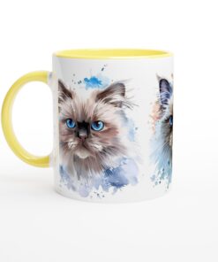 d1c6494f-ce35-4874-9ec0-c3cef730278c