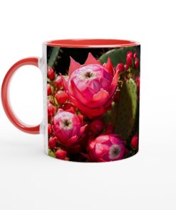 d29296a2-89ab-4204-8a64-bc3233bcf417