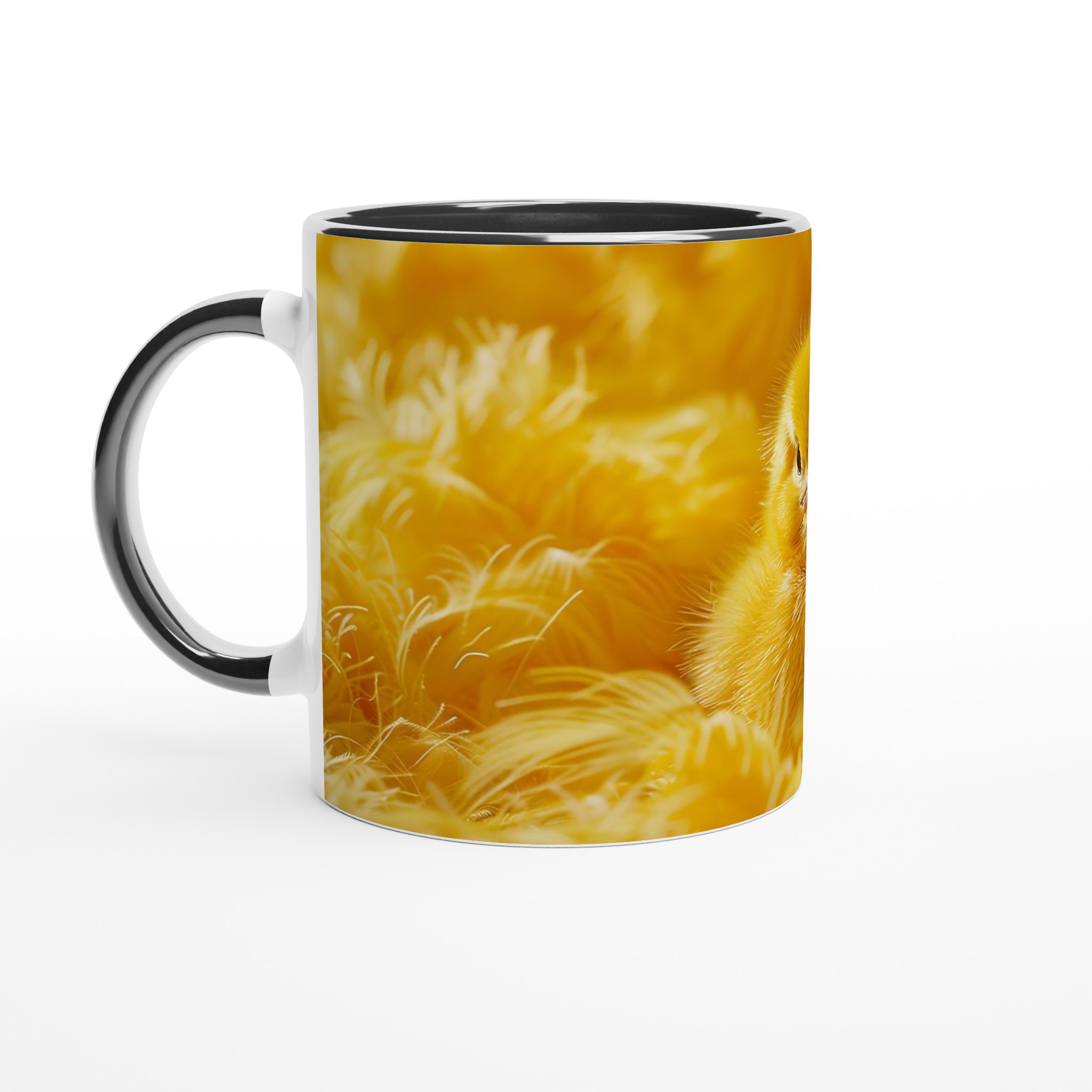 d2af7eda-c5fb-47e4-ba06-3c26a37ab0b6.jpg d2af7eda-c5fb-47e4-ba06-3c26a37ab0b6