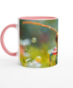 d62ff781-9777-44c4-bd3f-9671e5156d45