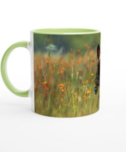 d7bb2eb9-085a-4fa4-95b3-665229ed02f3