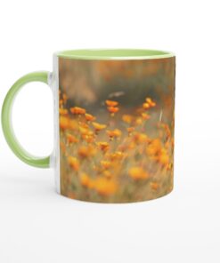 da62930e-4967-46f4-a3b4-4c0da9f7332c