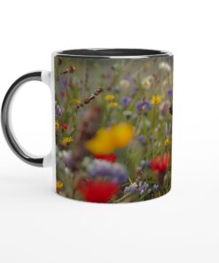 e48ac347-5231-4ff3-8ac4-682ae72ea9a8