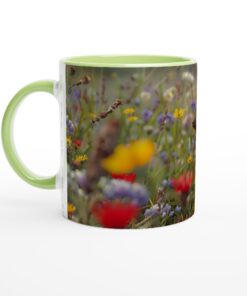 e4da02c3-e5b2-4f0e-a55d-4b17f3e9ea70