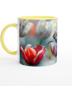 e4f8f48a-30ca-404a-a3d2-53bf422bf9de