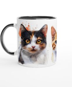 ee2e5c27-c18f-43c9-bf7b-c736fdc69730