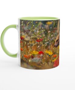 f0abe37f-0fc3-4e05-a624-b32e3ad59167