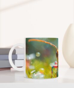 f537147d-20f0-430d-9a08-7418b0c6074a