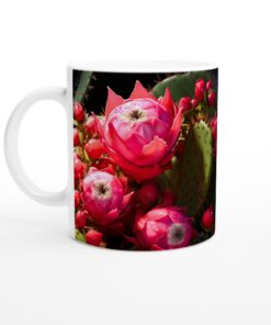 fae7bc35-fe32-4cf5-be09-d67ab43cedb9