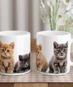 fce92799-d0c1-4d9b-9513-025dcc2ee9f2