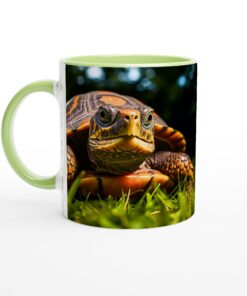 fdcce370-c35a-4a7a-bd86-c980bf7dcc05