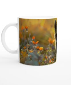 20b1fece-71c8-4fcd-8d1b-ea3e5a3757c1