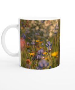 418953a8-58f0-403c-b45e-cf0524f8479f