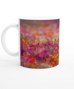 58bf64e8-99ac-4d11-a796-2a99f3cec706