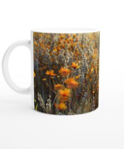 df2068cf-f725-43fd-820c-16c8079f5f79